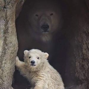 Meet your Posher, Robyn